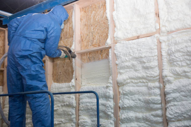 Best Insulation for New Construction  in Monrovia, IN